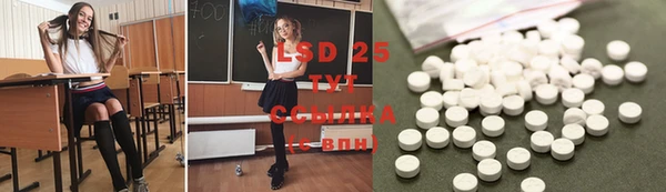 гашик Белоозёрский