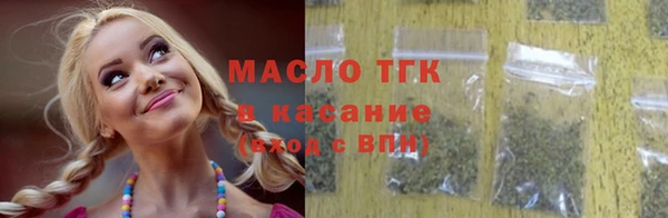 индика Богородск