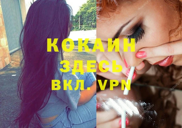 стаф Богданович