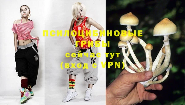 гашик Белоозёрский
