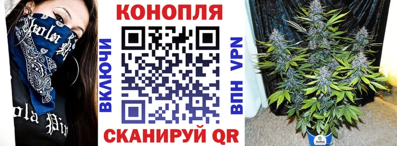 Купить где Лениногорск Каннабис Amnesia